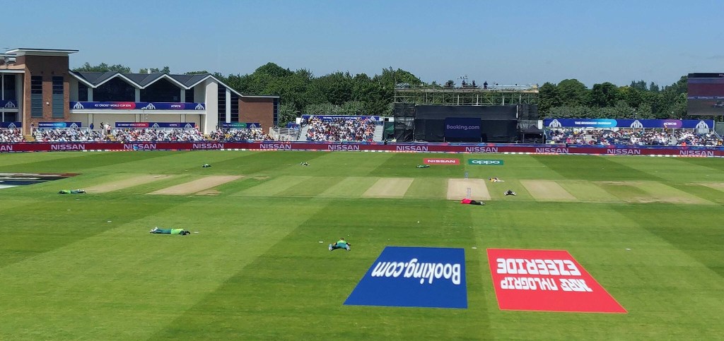 SAF vs SL #CWC19, Bees visit to&nbsp;stadium